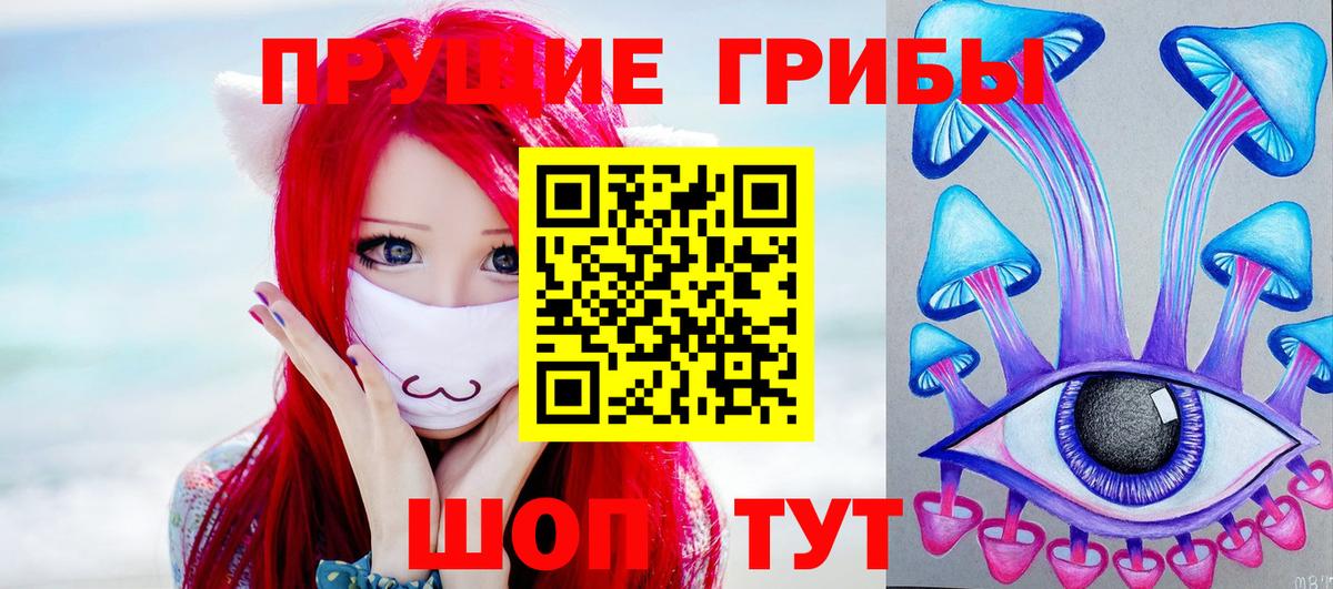 Псилоцибиновые грибы мицелий Арсеньев